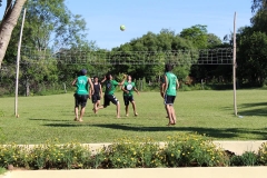 Voley